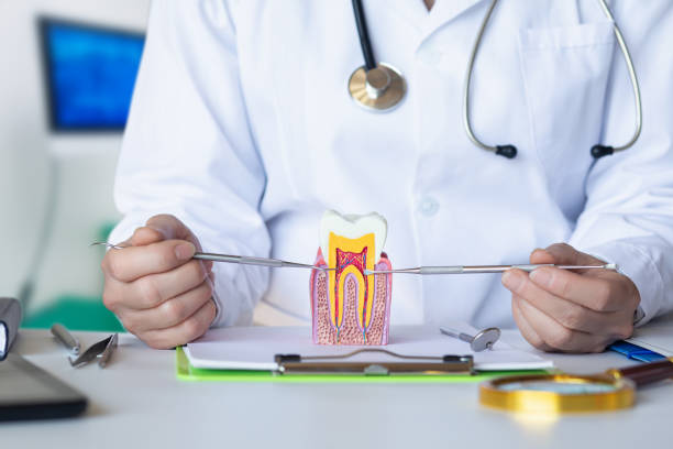 Best Orthodontic Emergency Dentist in Bridgewater, VA